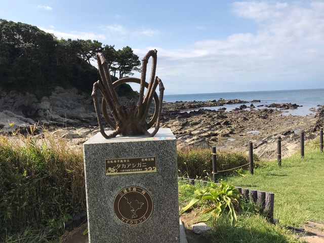 �^�J�A�V�K�j�`�`�Ɍ����邩�Ȃ��`�`_�r�����