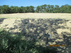 T\̑K`Guiʕvւ̓eʐ^1