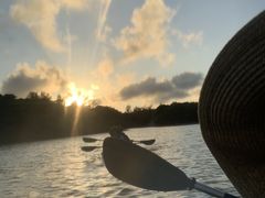 悳OHCUSΊ_ւ̓eʐ^1