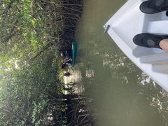 悳OHCUSΊ_ւ̓eʐ^2