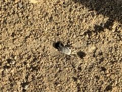 悳OHCUSΊ_ւ̓eʐ^3