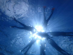 ƂNature Guide Double Rainbow lC`[KCh@_uC{[ւ̓eʐ^1