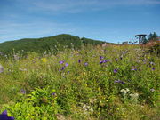 ^{剤̗}Eep[NR쑐K[f̓eʐ^1