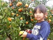 ݂񂿂񂳂̂₷ό݂񉀂̓eʐ^3