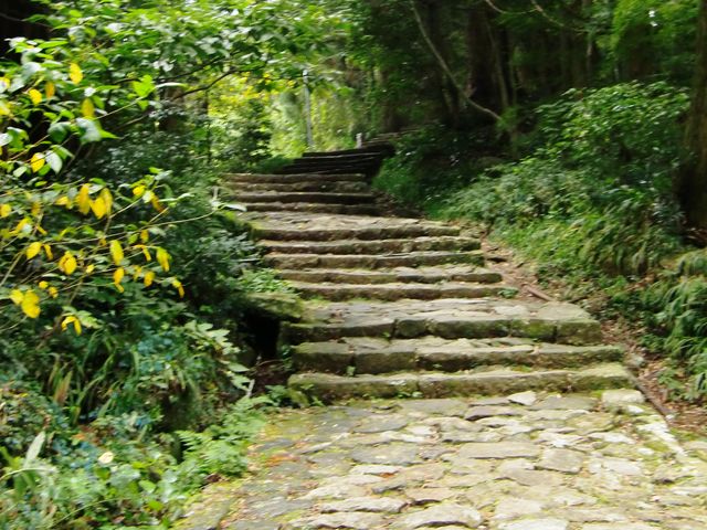 �F��Ó��@����