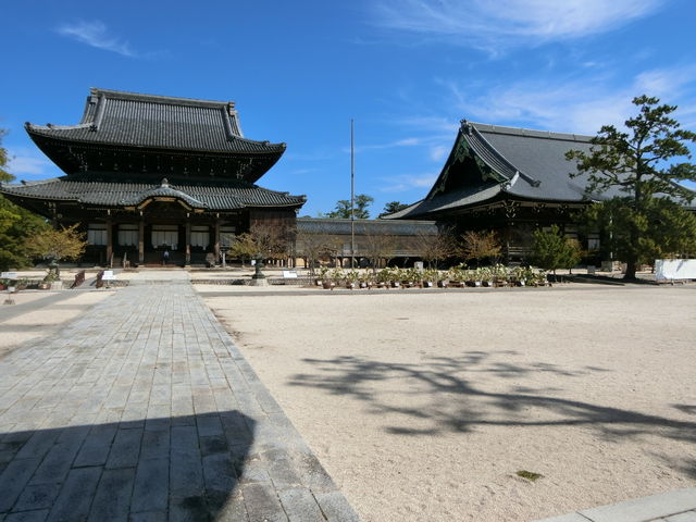 ���c�{�R��C��