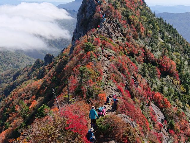 �䕗�̉e�����S�z�ł������R���͑f���炵���i�F�ł����B_�ΒȎR