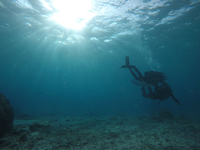 ���d�͂̐��E��..._�_�C�r���O�V���b�v�@���[�O��