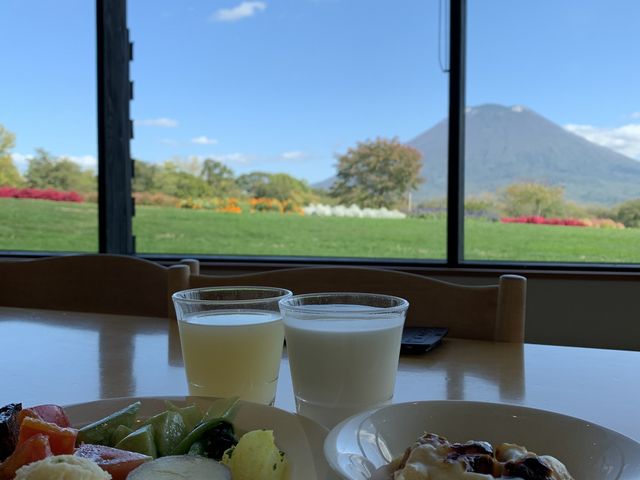 rR̒߂͍ōłI_qjZR~NH[