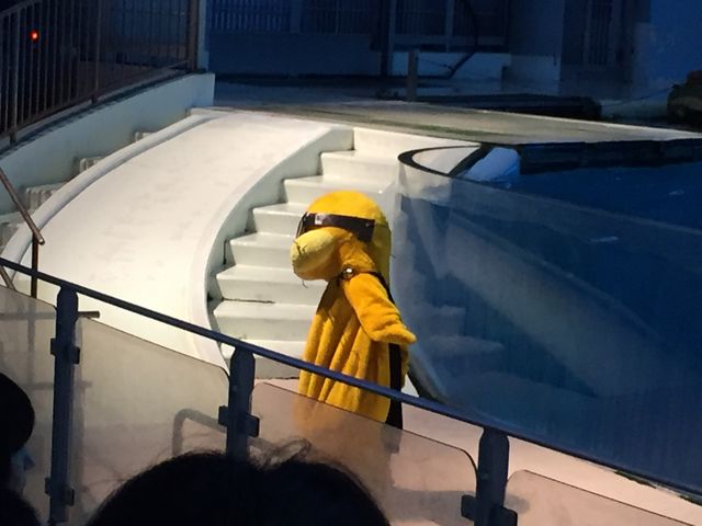 ��̃L�����N�^�[_���l�E���i���V�[�p���_�C�X