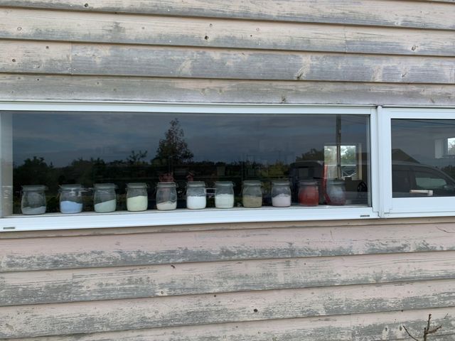 �������ȊO��_���H�[�E�M�������[�@�C�m��