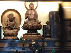 ���܂�����̉����R �p�����ւ̓��e�ʐ^1