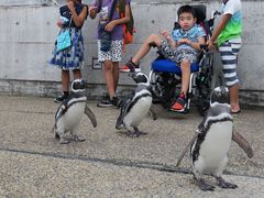 大分マリーンパレス水族館 うみたまご の写真一覧 6ページ目 じゃらんnet