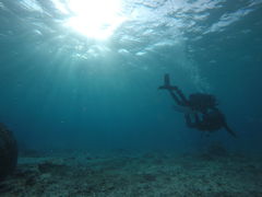 NEZ̃_CrOVbv@[Oւ̓eʐ^1