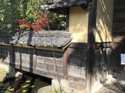 �܂�܂邳��̂��Ԃ��I�[�v���K�[�f���̓��e�ʐ^1