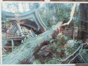 ܂̔Zc啧(^y)̓eʐ^1