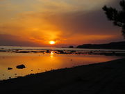 ~X^[oUC̉LmC݂̓eʐ^2