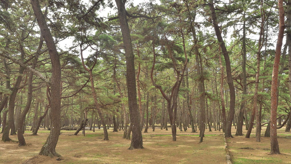 加古川市の公園 庭園ランキングtop7 じゃらんnet