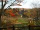 zunzuさんの瑞光寺公園の桜の投稿写真5
