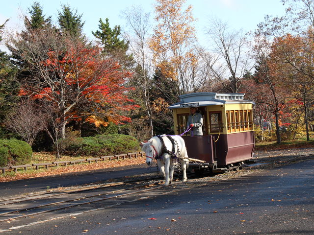 �S���n��_�k�C���J��̑�