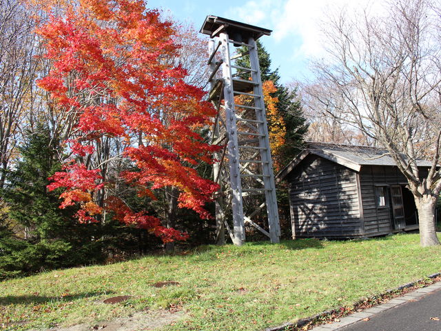 �΂̌��E_�k�C���J��̑�