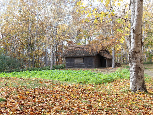 �J�񏬉�_�k�C���J��̑�