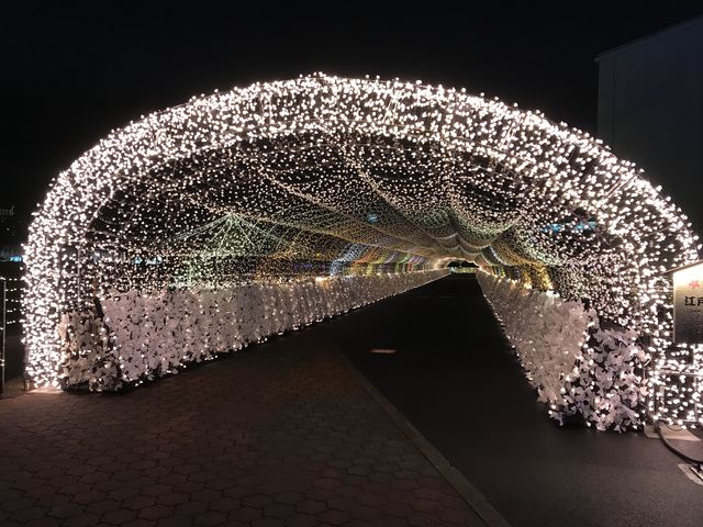 ̉Ԃт̃gl_VeBni䋣nj