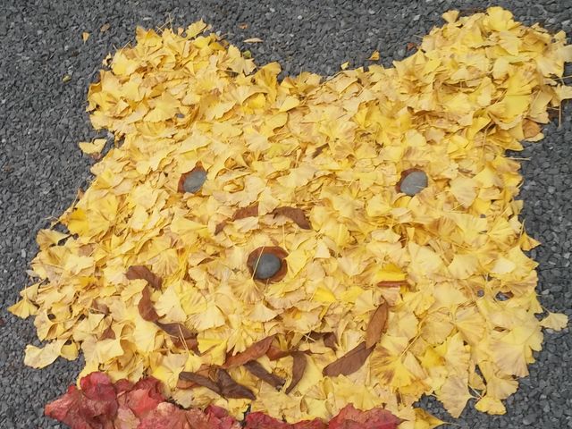 �����t_�F����