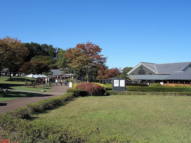 �L��ȕ~�n�Ō��ǂ��떞��_���̉w ���c���v���U