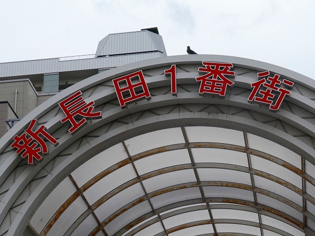 ���Ɍ��E�_�ˎs�E���c��E�ᏼ�����E�S�l28�����j�������g_�S�l28�����j�������g