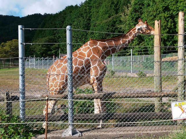 �L��������_�H�g�䎩�R���������T�t�@�������h