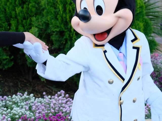 �~�b�L�[_�����f�B�Y�j�[�V�[(R)