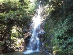 かっちゃんさんの白水の滝への投稿写真1