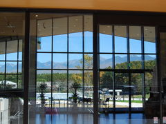 �J�S��(��)�x�m���H��̎ʐ^1