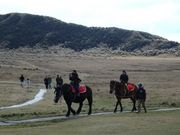 ͂邿񂳂̑痢W]̓eʐ^1