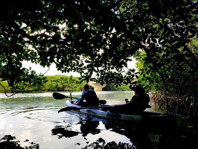 マングローブのトンネル_OHCUS石垣島