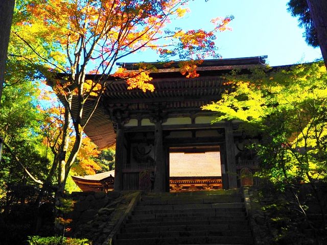 ��V��_�Γ��O�R ������