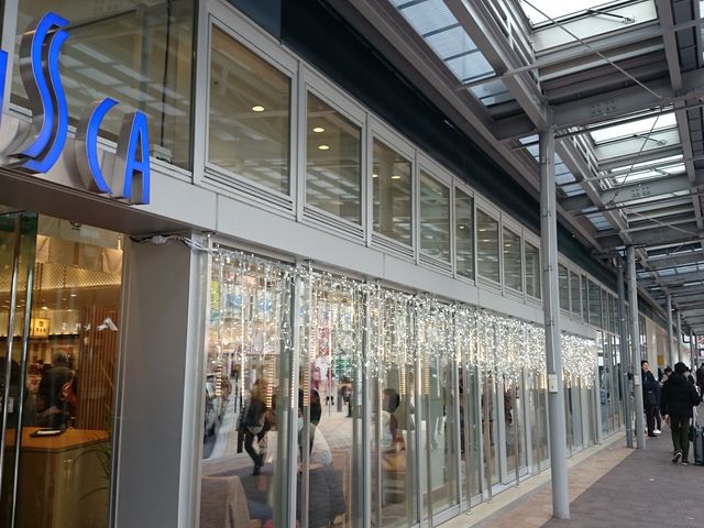 ���X�J�M�C_���X�J�M�C