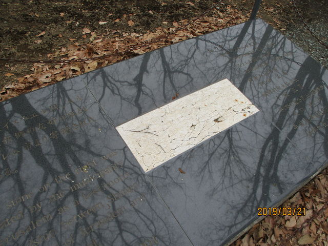 ����_�L���X�g�̗�����