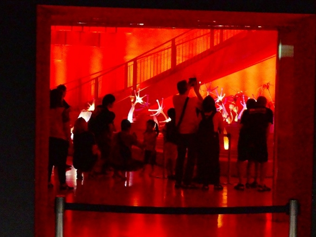 �����̎ʐ^�͂P�K���炵���B��܂���I_���z�̓�