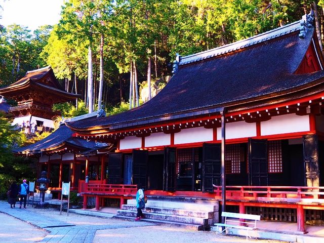 O
߉ޔ@Aɔ@At@̎OJĂ܂
_