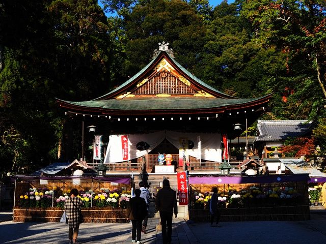 本殿_日牟禮八幡宮