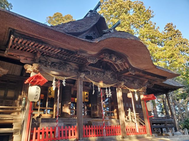 ���h�Ȗ{�a�ł��B_�F����