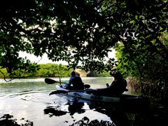 [V[OHCUSΊ_ւ̓eʐ^2