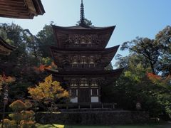 英坊さんの西明寺への投稿写真1