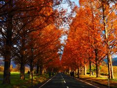 pṼ^ZRCA؂ւ̓eʐ^1