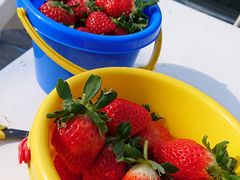 }}̂悩񂢂ւ̓eʐ^1