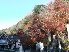 񂳂̍RP[uJ[Elόtgւ̓eʐ^1