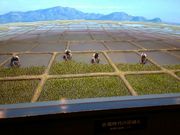 ς炳̏ĒÎsjق̓eʐ^2