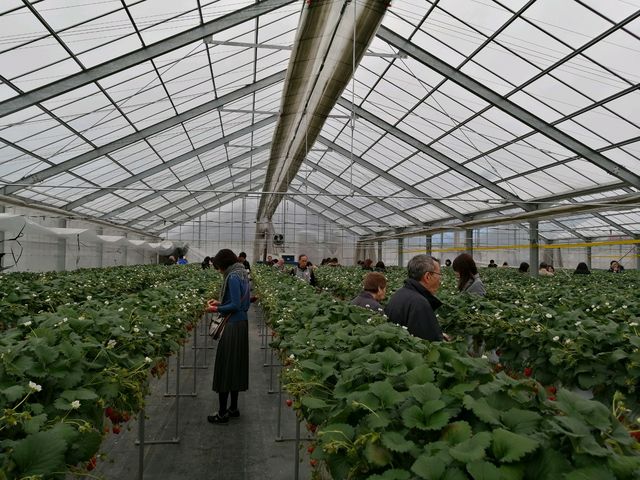 �n�E�X�͍L����_䕉����߃n�E�X